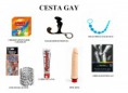 /products/cesta-gay/